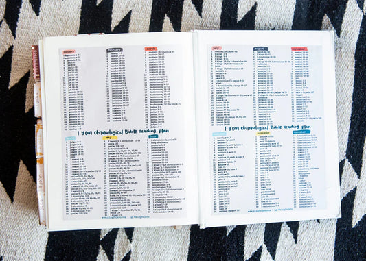 Chronological Bible Reading Plan Vinyl Checklist Sticker