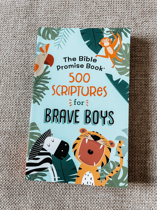 “500 Scriptures for Brave Boys”